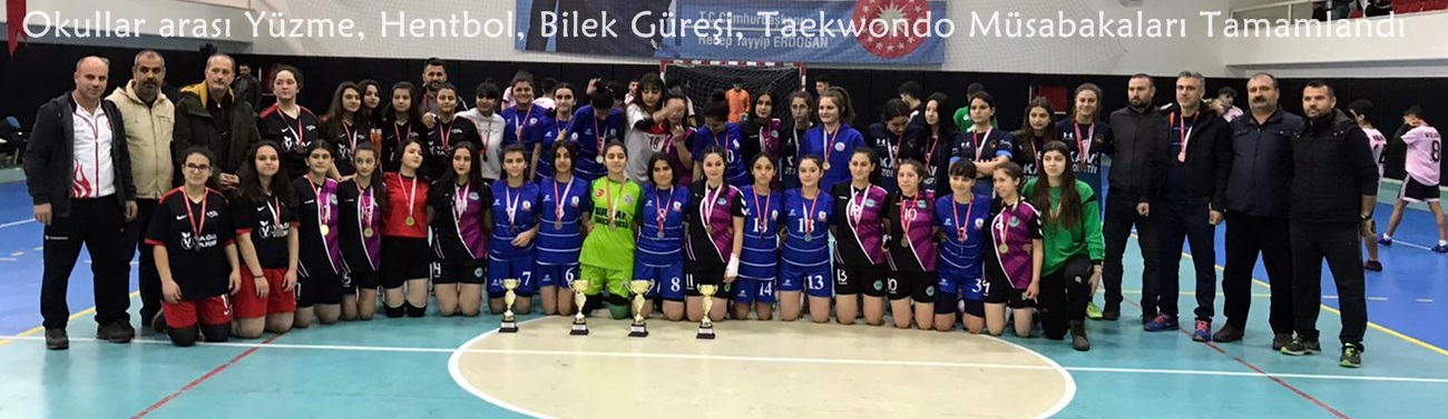 Okullar arası Yüzme, Hentbol, Bilek Güreşi, Taekwondo Müsabakaları Tamamlandı