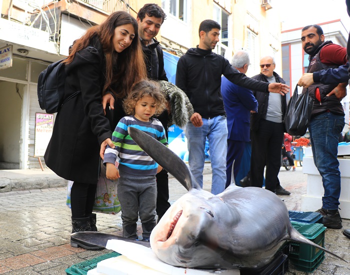 200 kilogramlık köpek balığı ile fotoğraf yarışı