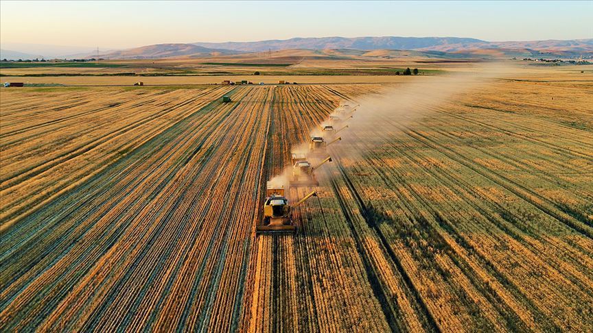 Çiftçilere yaklaşık 1,6 milyar liralık destek