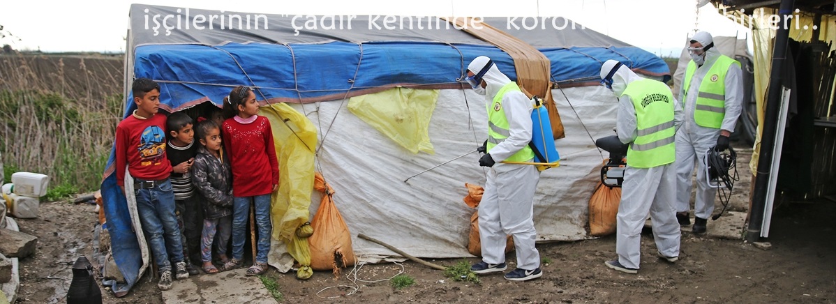 Tarım işçilerinin "çadır kentinde" koronavirüs tedbirleri