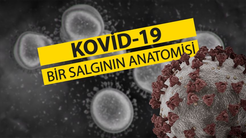 Bir Salgının Anatomisi: Kovid-19