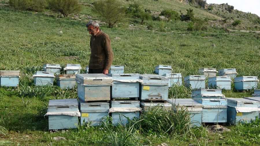 Çalınan kovanlarının bulunmasına değil, jandarmanın ilgisine sevindi