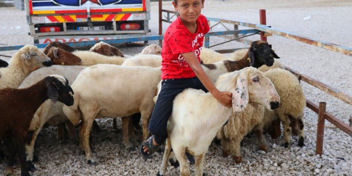 Adana'da adaklık kurban satış yerleri kaldırıldı