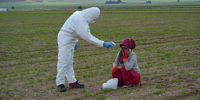 Türkiye'nin koronavirüsle mücadelesinde son 24 saatte yaşananlar