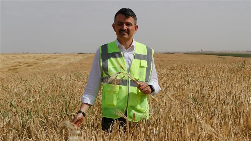 Pakdemirli yeni hasat sezonuna girerken alım fiyatlarını açıklamaya başlayacaklarını bildirdi