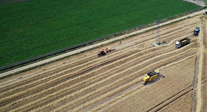 Kırsal kalkınmaya bugüne kadar 26,5 milyar liralık hibe verildi