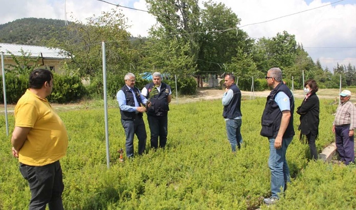 Adana Orman Bölge Müdürü Yılmaz fidanlıkta incelemede bulundu