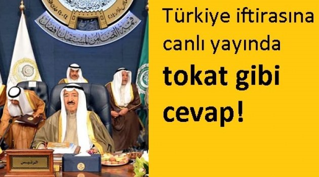 Mısırlı sunucunun Türkiye iftirasına canlı yayında tokat gibi cevap!