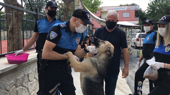 Adana'da polis sokak hayvanları için mama bıraktı