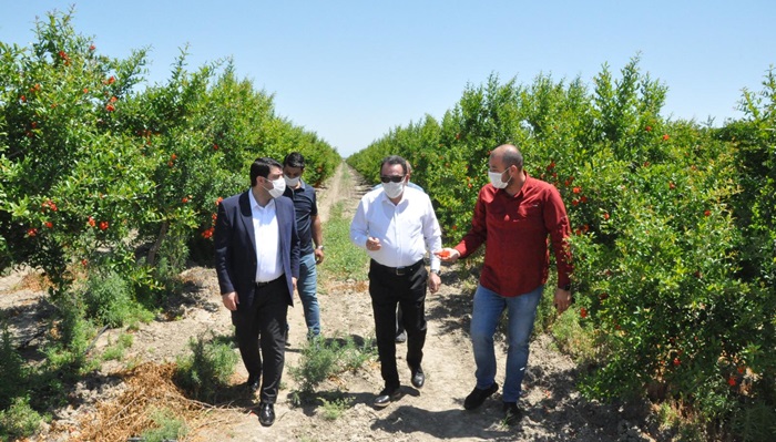 Abdullah Doğru: “Bizim İşimiz Hizmet Onların İse Yaygara”