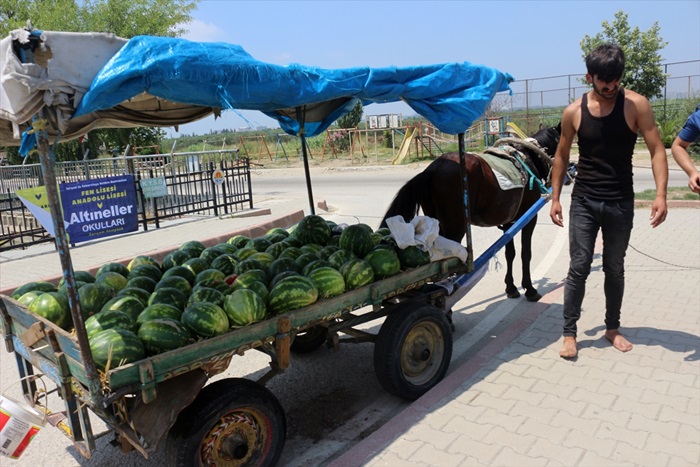 Adana'da karpuz taşıyan at arabasından düşen seyyar satıcı yaralandı