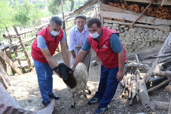 Adana'da bir kişi adadığı kurbanı Vefa Sosyal Destek Grubu'na bağışladı