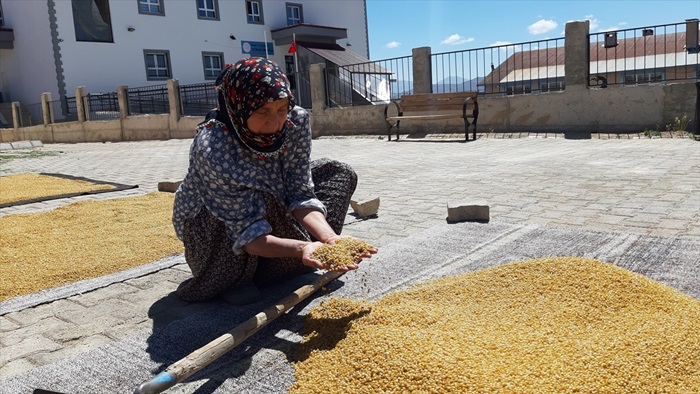 Buğday 2,15 liradan işlem gördü