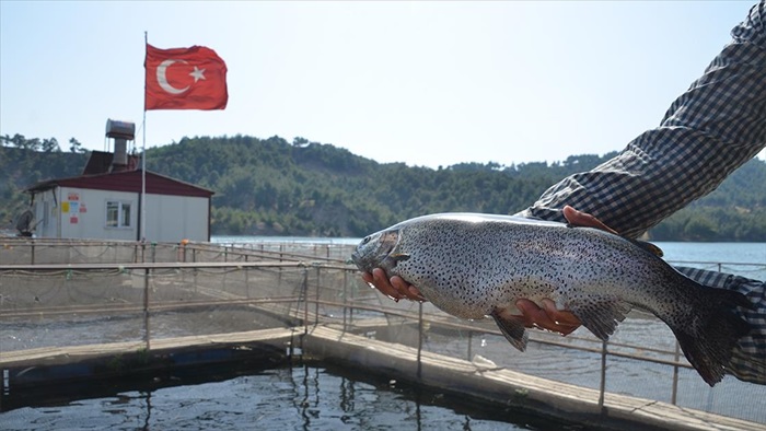 Türkiye'nin su ürünleri ihracatı yeni rekora koşuyor