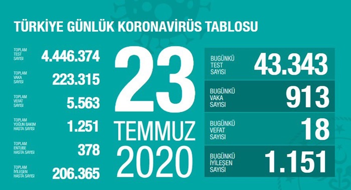 Türkiye'de Kovid-19 tedavisi tamamlananların sayısı 206 bin 365'e ulaştı