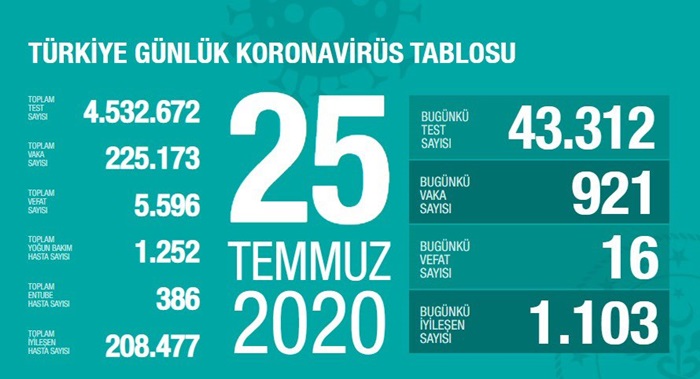 Türkiye'de Kovid-19'dan 208 bin 477 kişi iyileşti