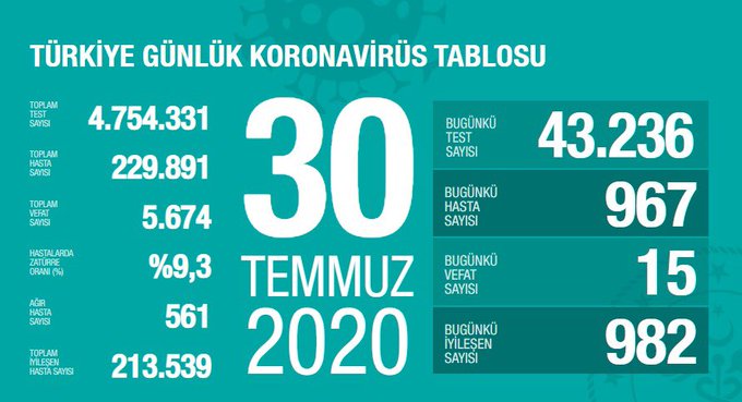 Türkiye'de Kovid-19'dan 213 bin 539 kişi iyileşti