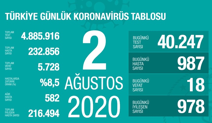 Türkiye'de Kovid-19'dan 216 bin 494 kişi iyileşti