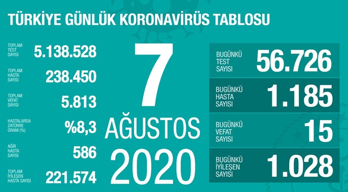 Türkiye'de Kovid-19 tedavisi tamamlananların sayısı 221 bin 574 oldu