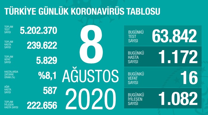 Türkiye'de Kovid-19'dan 222 bin 656 kişi iyileşti