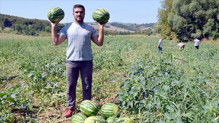 Genç güreşçi Kırkpınar'a tarlada hazırlanıyor