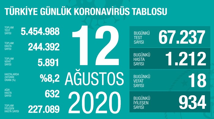 Türkiye'de Kovid-19'da 67 bin 237 ile en yüksek günlük test sayısına ulaşıldı