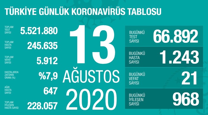 Türkiye'de Kovid-19'u yenenlerin sayısı 228 bin 57'ye çıktı