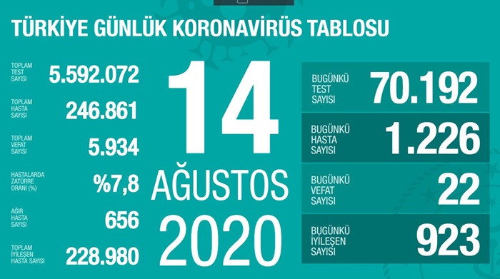 Türkiye'de Kovid-19'u yenenlerin sayısı 228 bin 980'e çıktı