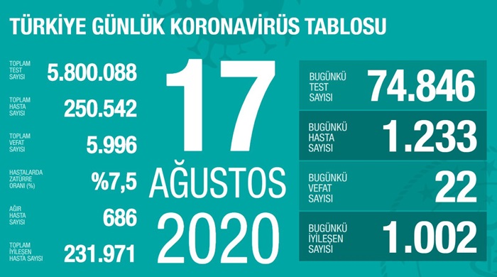 Türkiye'de Kovid-19'dan iyileşenlerin sayısı 231 bin 971 oldu