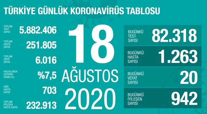 Türkiye'de Kovid-19 tedavisi tamamlananların sayısı 232 bin 913 oldu