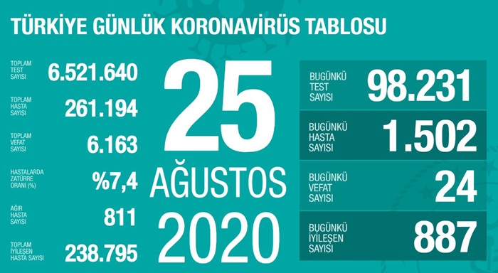 Türkiye'de Kovid-19'u yenenlerin sayısı 238 bin 795'e ulaştı