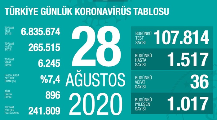 Türkiye'de Kovid-19'u yenenlerin sayısı 241 bin 809'a ulaştı