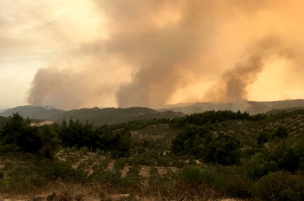 Hatay'ın Suriye sınırındaki orman yangını sürüyor