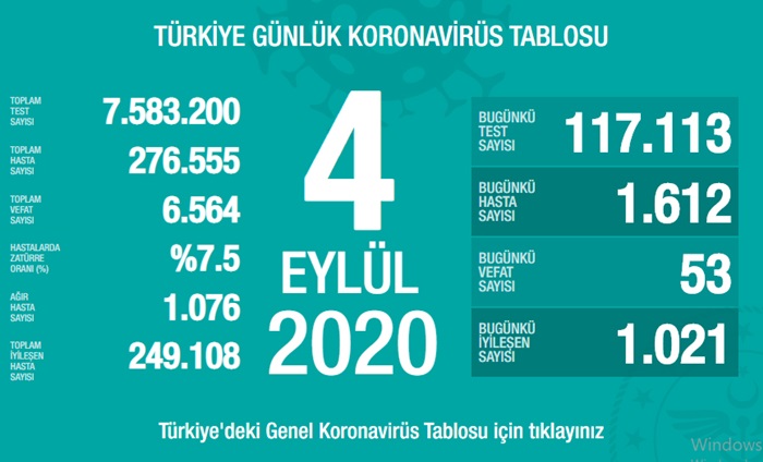 Türkiye'de Kovid-19'dan iyileşenlerin sayısı 249 bin 108'e yükseldi