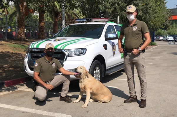 "Çevre, Doğa ve Hayvanları Koruma" polisleri Adana'da göreve başladı