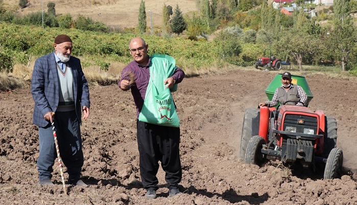 Adana'da şalvar giyen belediye başkanı karakılçık buğdayı ekti