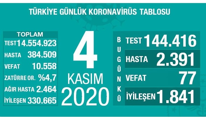 Türkiye'de son 24 saatte 2 bin 391 kişiye Kovid-19 tanısı konuldu