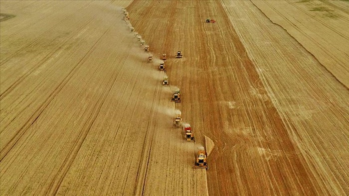 Tarım grubundan ihracatta ilk yarı rekoru