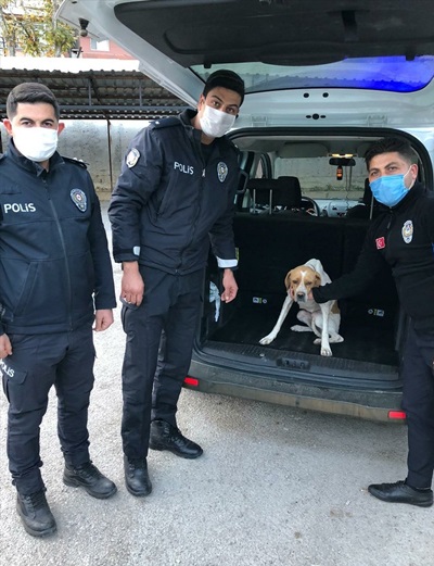 Adana'da köpeğe eziyet ettiği iddia edilen zanlı gözaltına alındı