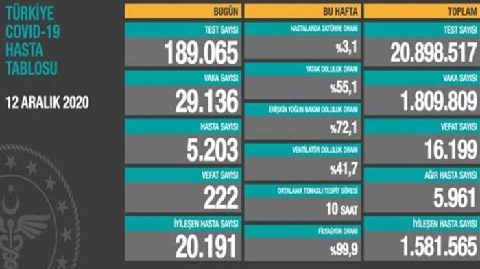 Türkiye'de son 24 saatte 29 bin 136 kişinin Kovid-19 testi pozitif çıktı, 222 kişi hayatını kaybetti