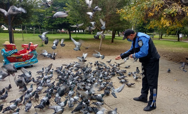 Adana'da sokağa çıkma kısıtlamasında sokak hayvanlarına polisten mama desteği