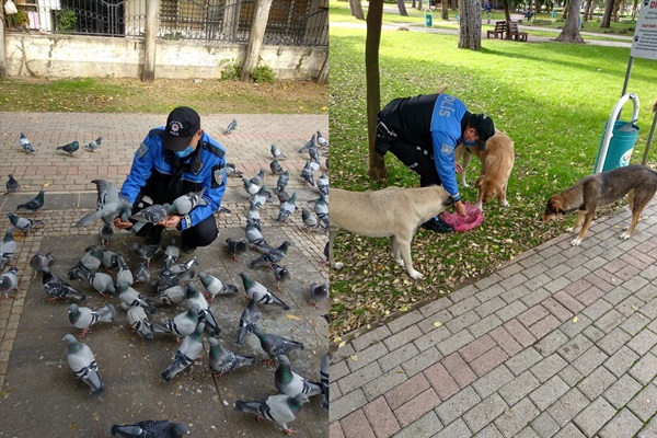 Adana'da polislerden sokak hayvanlarına mama desteği