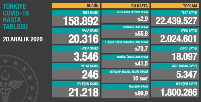 Türkiye'de son 24 saatte 20 bin 316 kişinin Kovid-19 testi pozitif çıktı, 246 kişi hayatını kaybetti