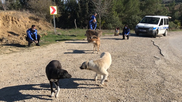 Adana'da polis, sokak hayvanları için mama bıraktı