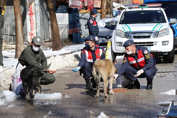 Adana'da jandarmadan huzur ve güven uygulaması