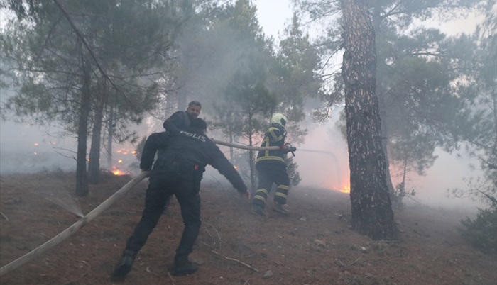 Adana'da çıkan orman yangını kontrol altına alındı