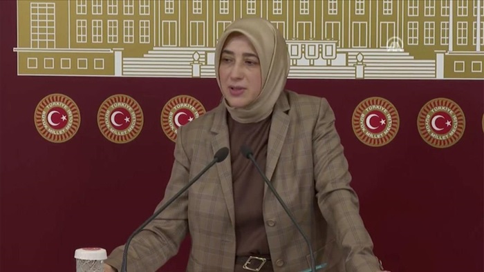 AK Parti Grup Başkanvekili Özlem Zengin: "Sosyal medya üzerine daha çok düşünmeli"