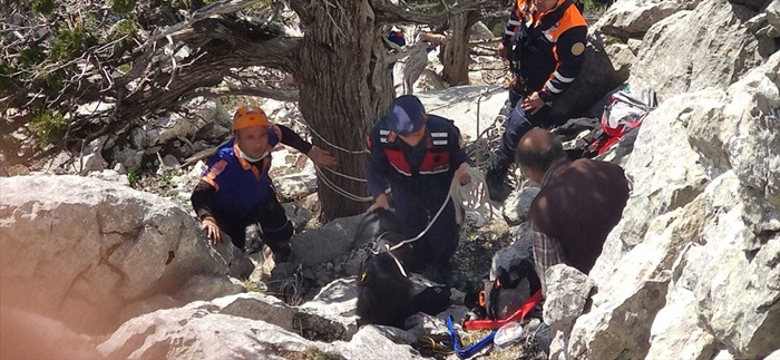 Karaisalı'da kayalıklarda mahsur kalan 2 keçi kurtarıldı