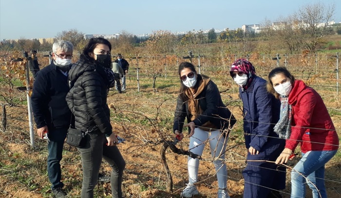 ÇÜ'den “Asmalarda kış budaması ve çelikle çoğaltma” eğitimi