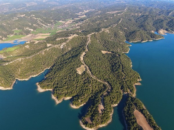 İçişleri Bakanlığından valiliklere orman yangınları için önlem genelgesi